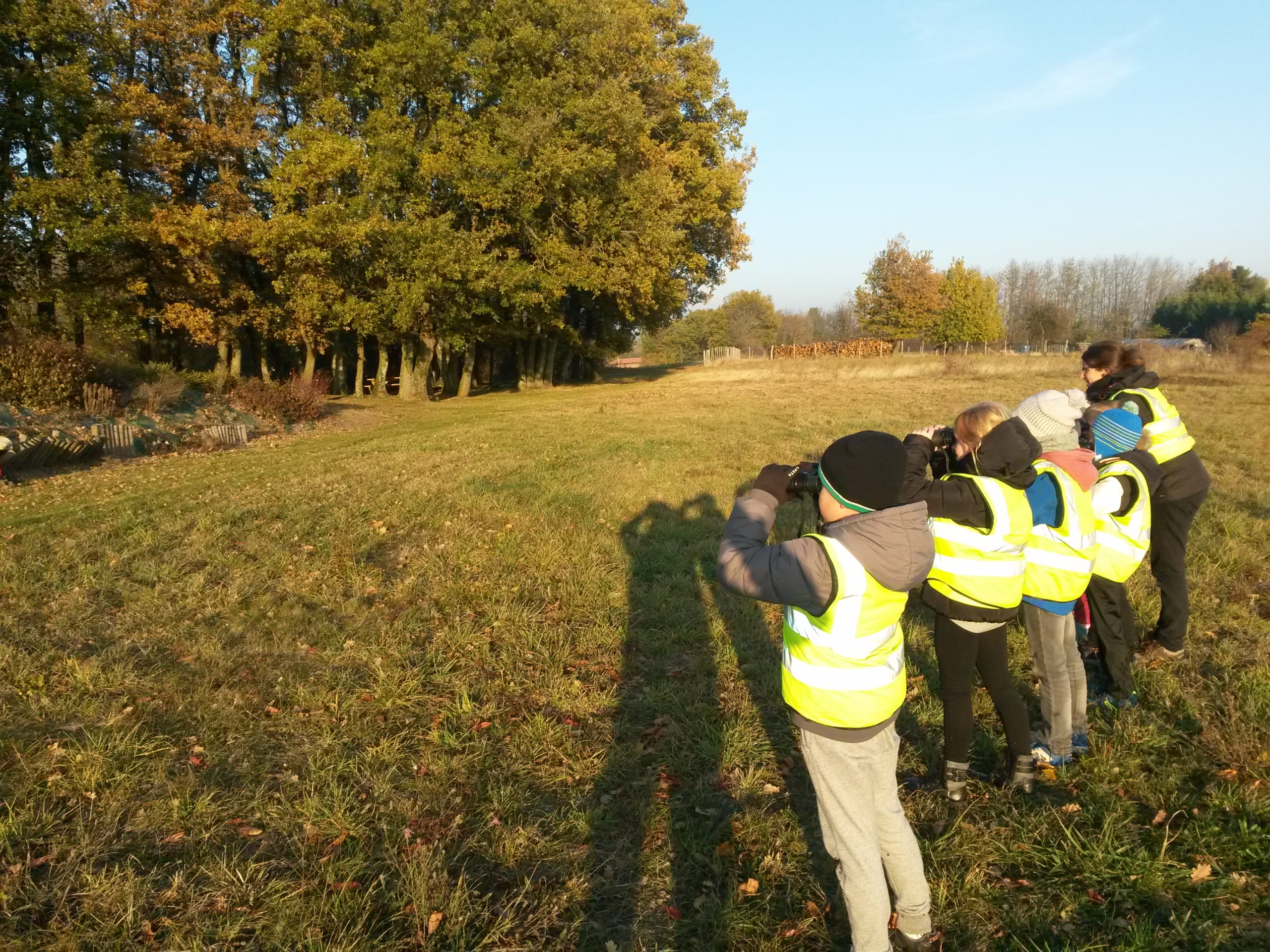 Animation oiseau De Nature Curieuse Education à l'environnement